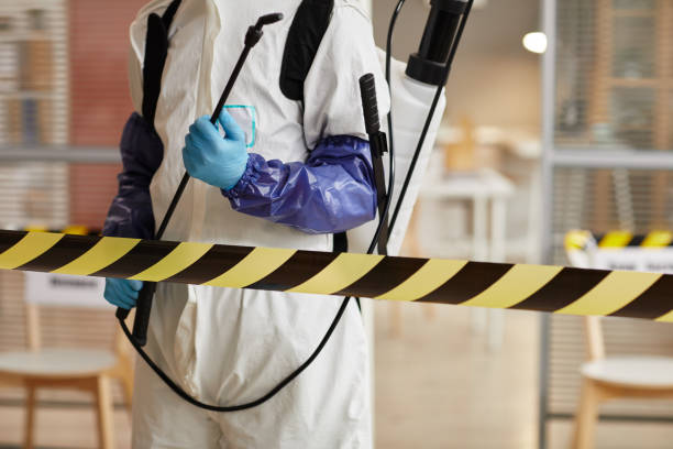 Professional Sewage Cleanup technician working in Brookville, PA